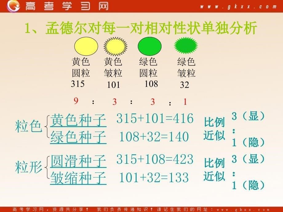 高中生物《自由组合定律》课件2（16张PPT） （浙教版必修2）_第5页