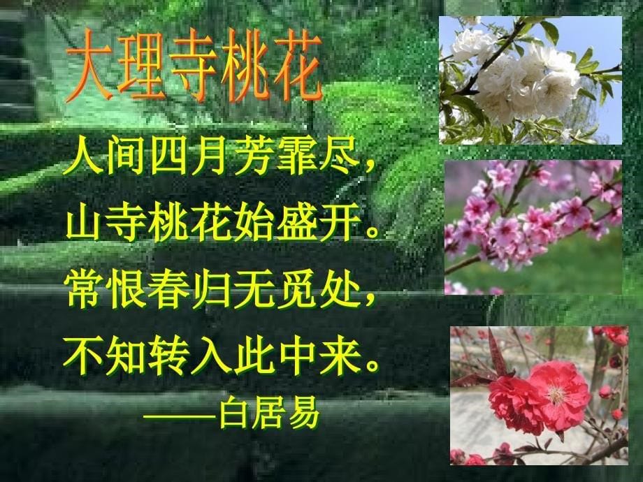 桃花源记优秀课件_第5页