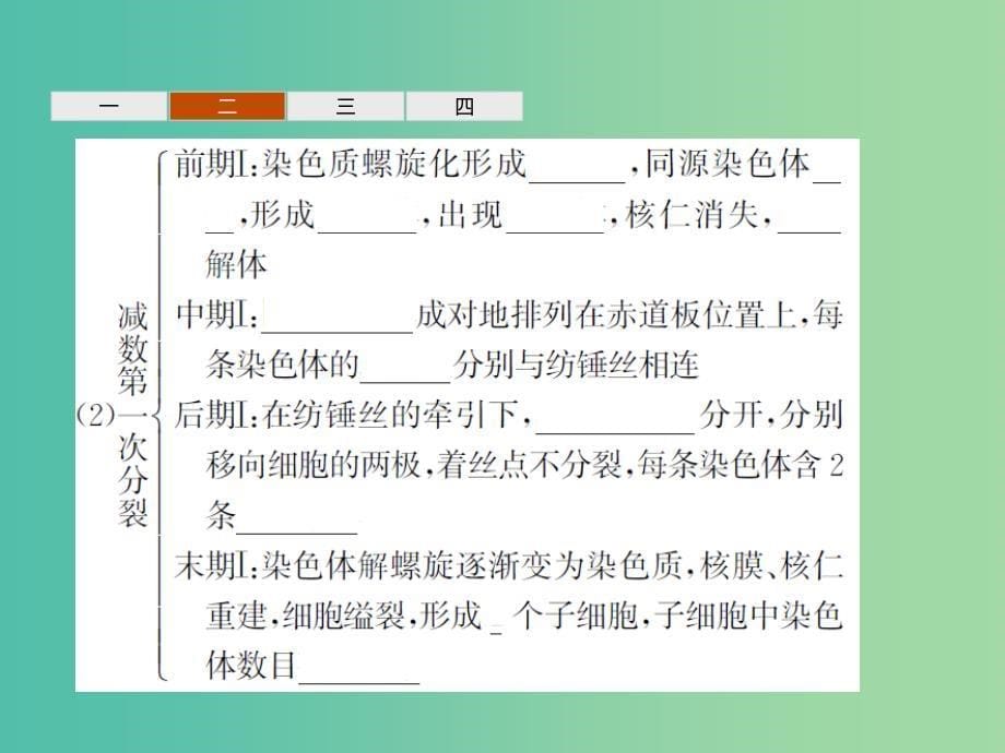 2019年高中生物第二章减数分裂和有性生殖2.1减数分裂课件苏教版必修2 .ppt_第5页