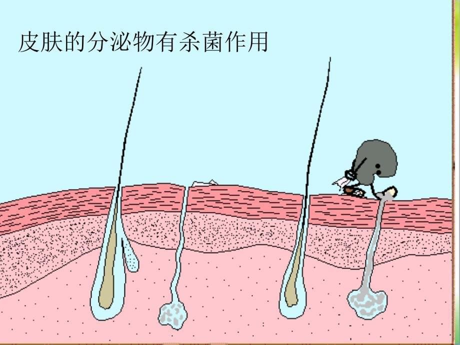 人教版八下第八单元第一章第二免疫与免疫计划(共33张PPT)_第5页