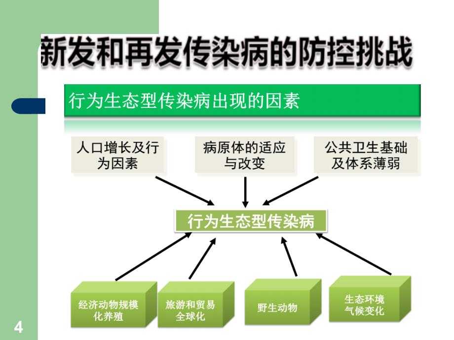 登革热医院感染的预防与控制ppt课件_第4页