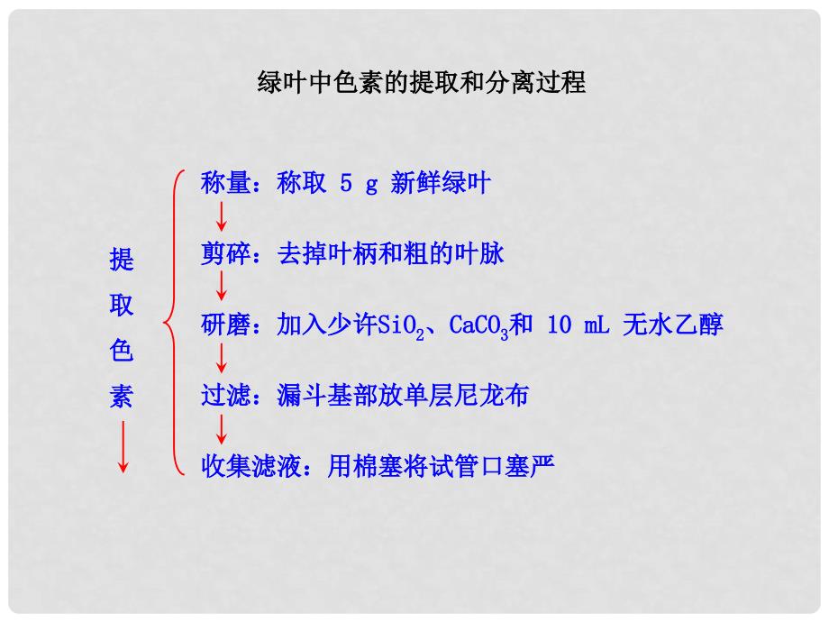 绿叶中色素的提取和分离过程_第1页