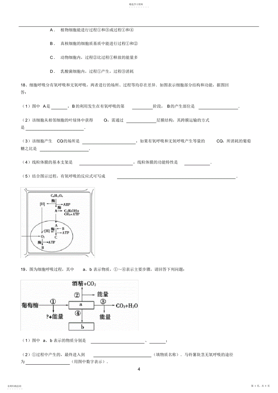 2022年细胞呼吸练习含答案_第4页
