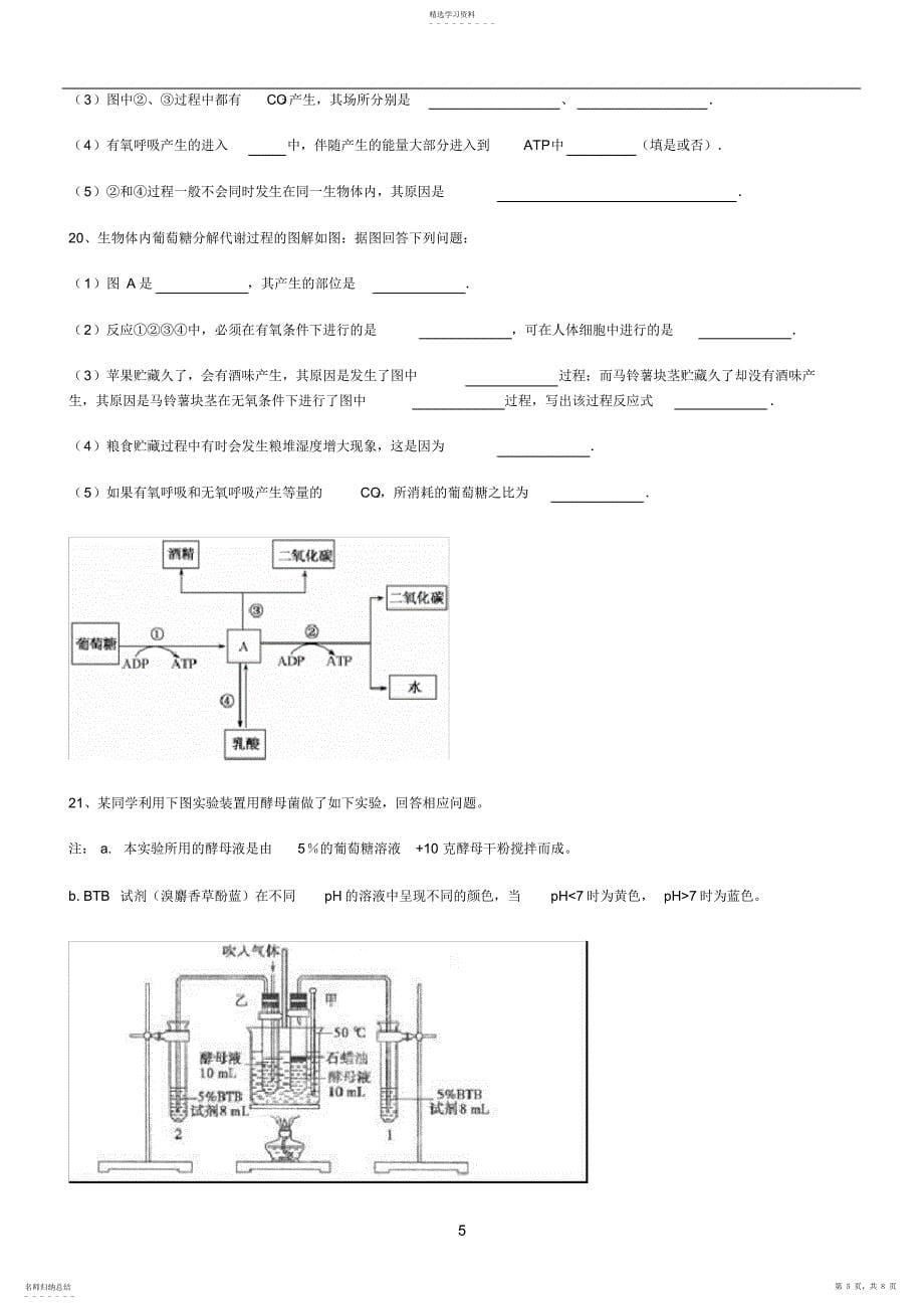 2022年细胞呼吸练习含答案_第5页