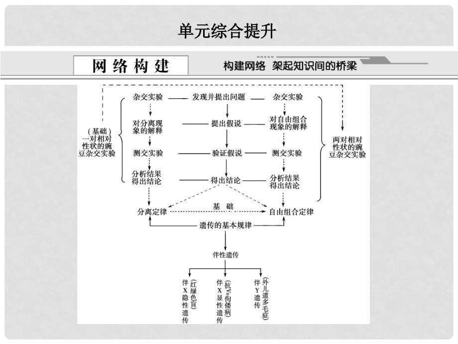 湖北省高考生物 单元综合提升复习课件8_第1页