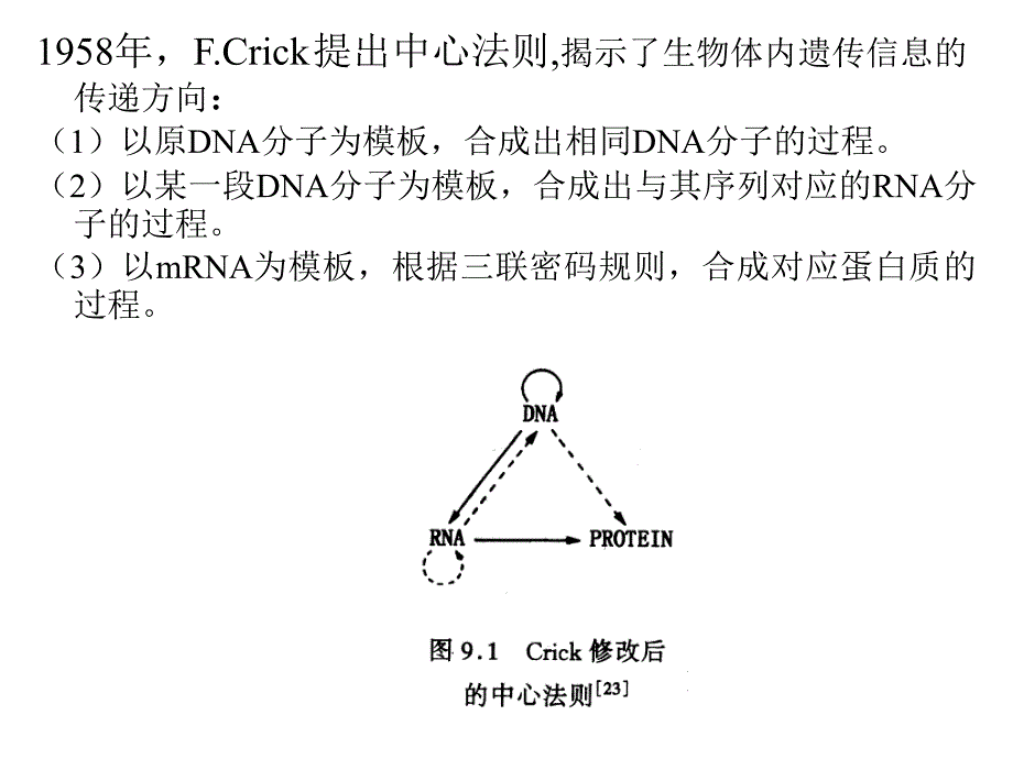 DNA的复制和修复_第2页