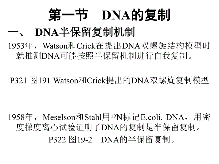 DNA的复制和修复_第4页