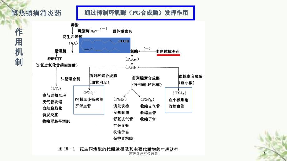 解热镇痛抗炎药黄课件_第4页