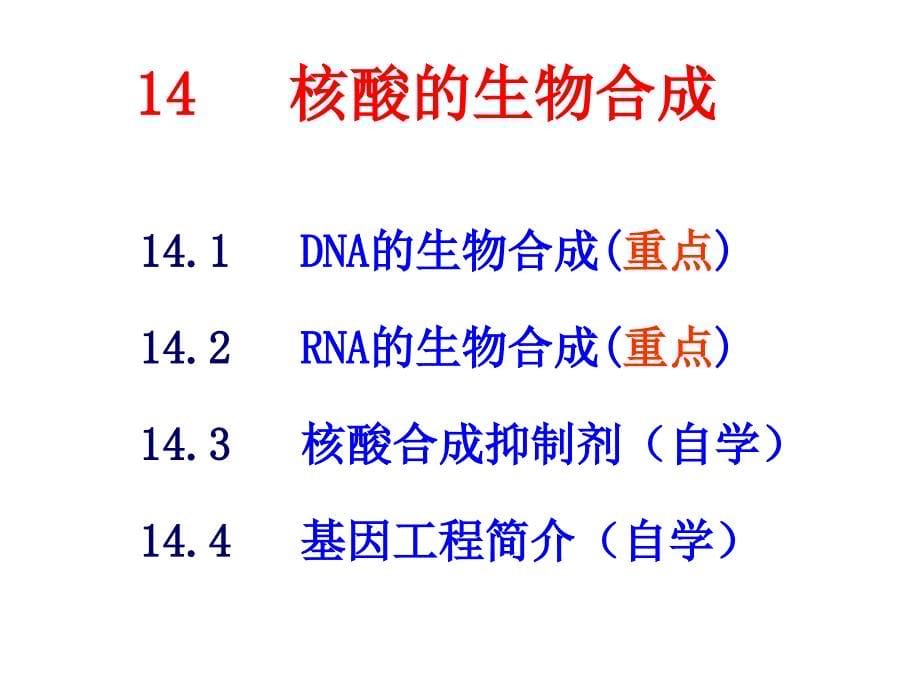 SL14核酸的生物合成1DNA的复制_第5页