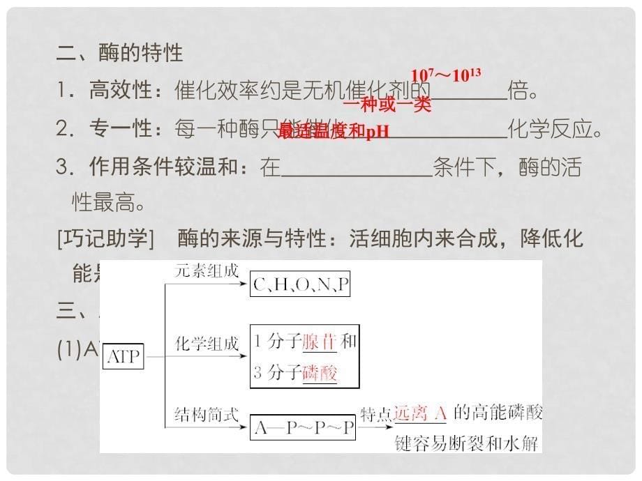 高考生物一轮复习 第5章 第1讲 降低化学反应活化能的酶细胞的能量通货 ATP课件 新人教版必修1_第5页