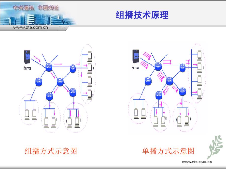 中兴组播技术培训.ppt_第4页