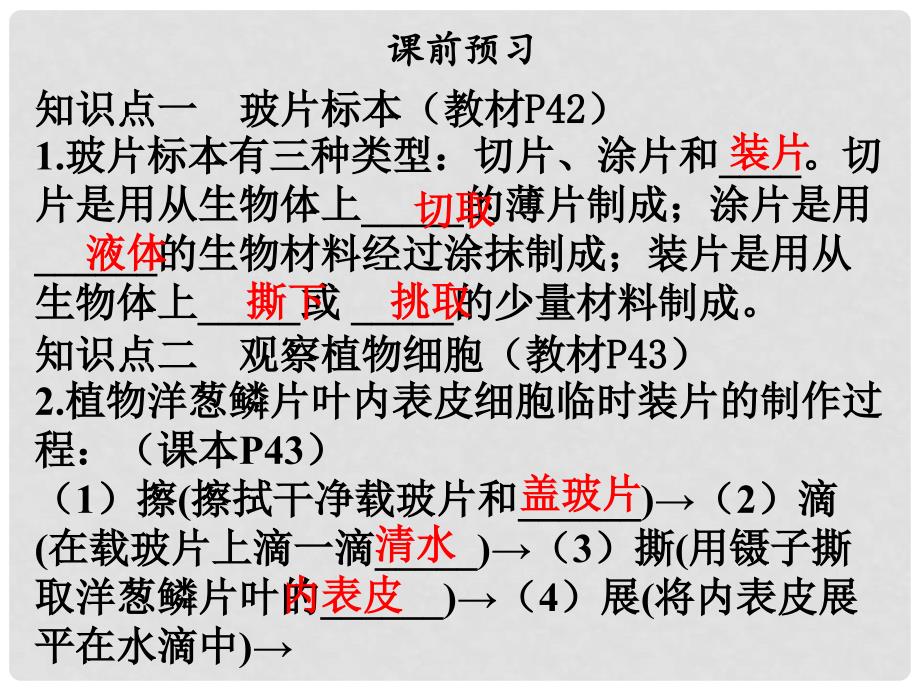 七年级生物上册 第二单元 第一章 第二节植物细胞课件 （新版）新人教版_第3页