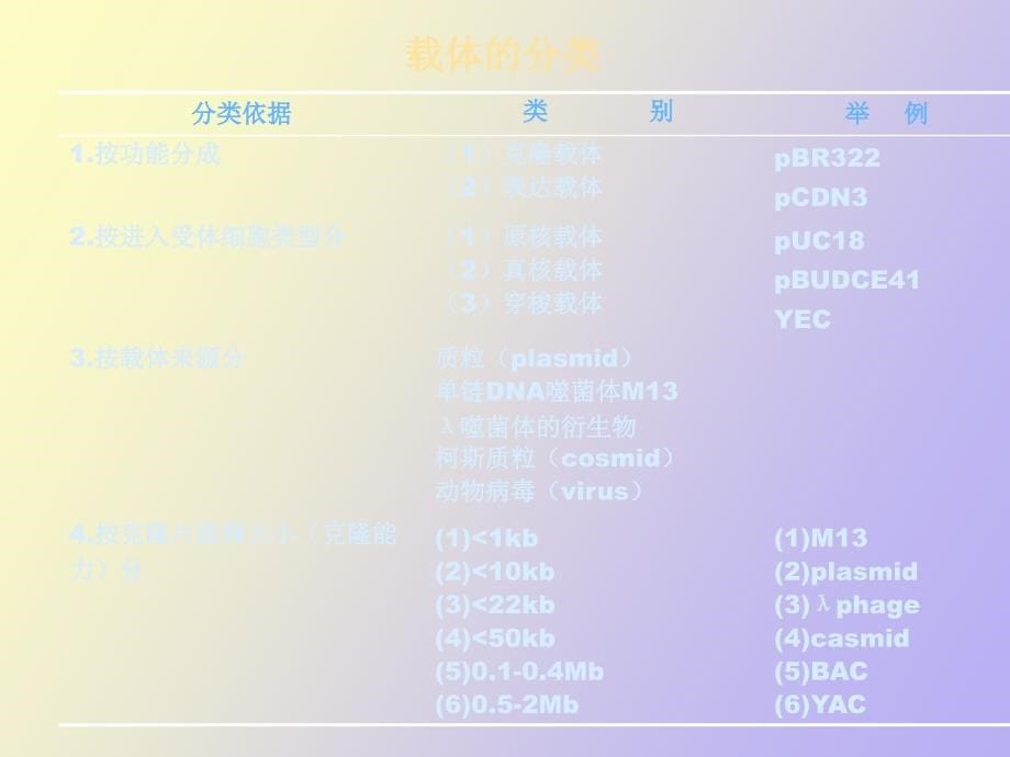 HXY第二章基因工程的载体和工具酶_第5页