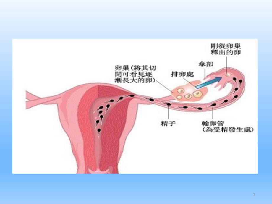 妇产科学不孕症_第3页