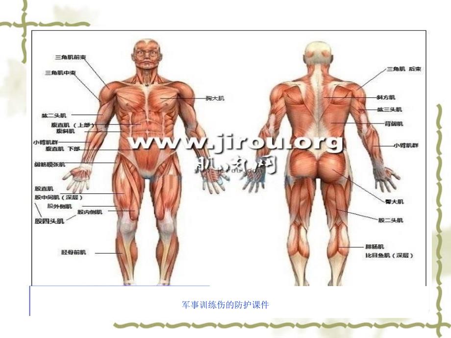 军事训练伤的防护课件_第3页