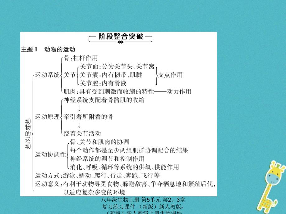 最新八年级生物上册第5单元第23章复习练习_第2页