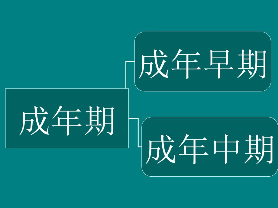 人类行为与社会环境成年期.ppt_第3页