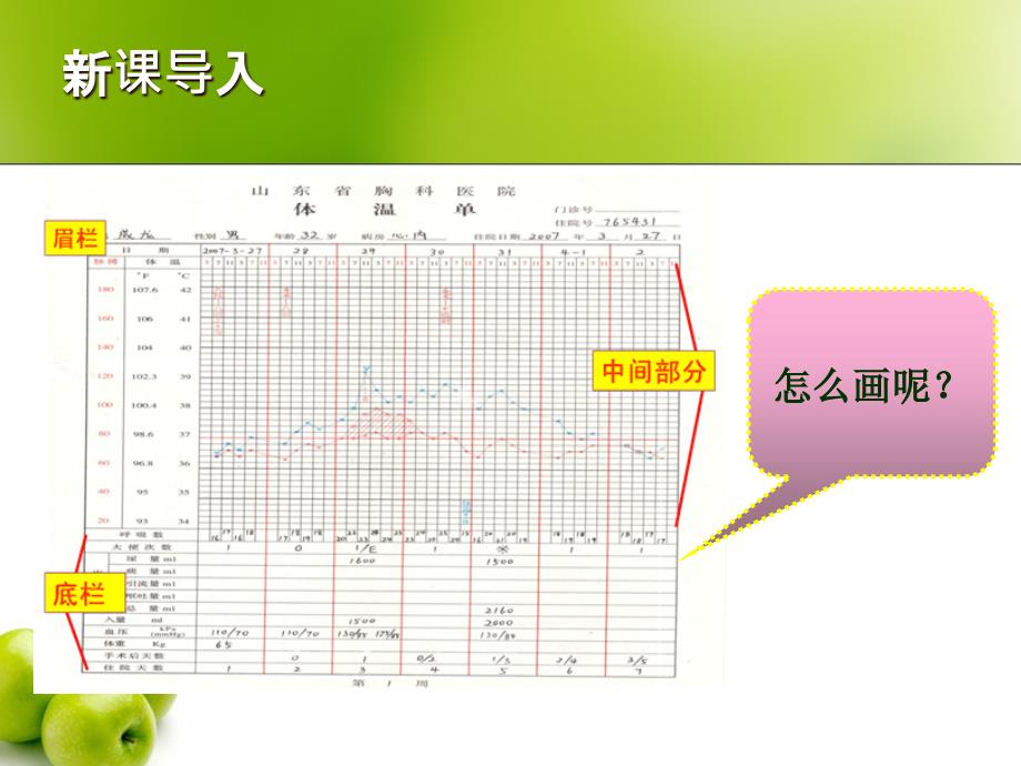 体温单的绘制PPT课件1023_第3页