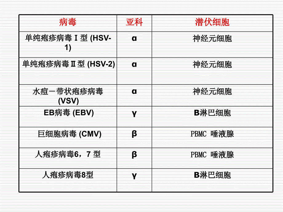 医学微生物学课件：27 疱疹病毒_第4页