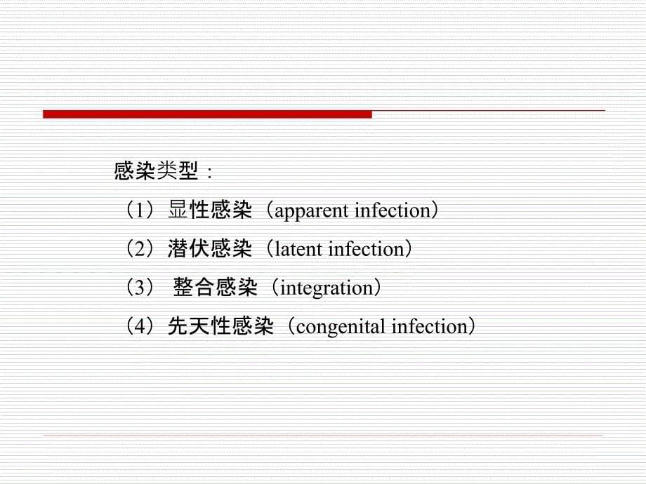 医学微生物学课件：27 疱疹病毒_第5页