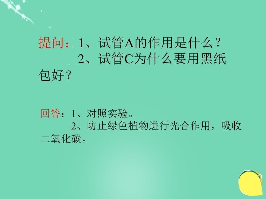 动植物与大气间的气体交换_第5页