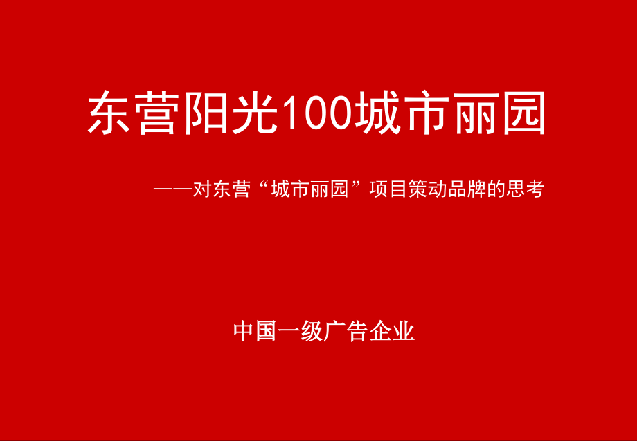 精品文案东营阳光100城市丽园营销全案_第1页