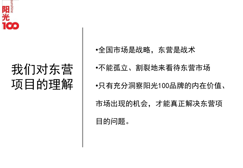 精品文案东营阳光100城市丽园营销全案_第4页