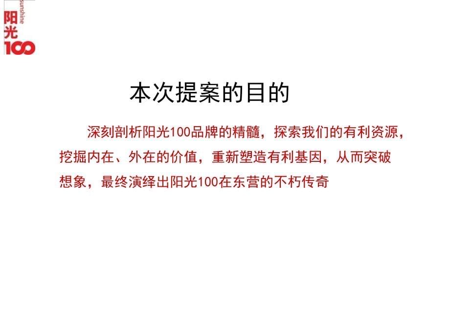 精品文案东营阳光100城市丽园营销全案_第5页