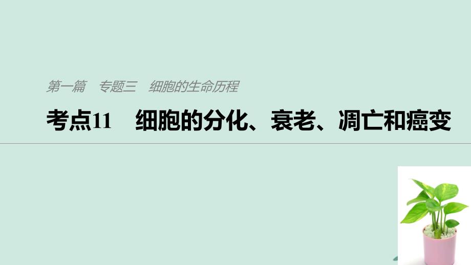 （通用）高考生物二轮复习 专题三 细胞的生命历程 考点11 细胞的分化、衰老、凋亡和癌变课件_第1页