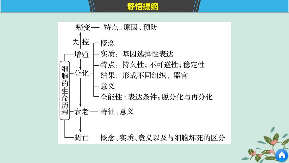 （通用）高考生物二轮复习 专题三 细胞的生命历程 考点11 细胞的分化、衰老、凋亡和癌变课件_第3页