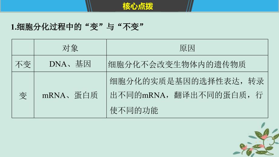 （通用）高考生物二轮复习 专题三 细胞的生命历程 考点11 细胞的分化、衰老、凋亡和癌变课件_第4页