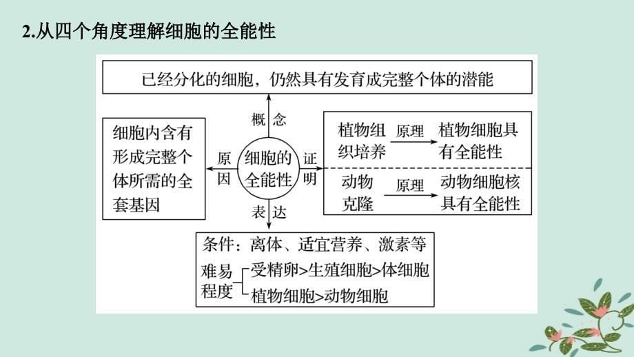 （通用）高考生物二轮复习 专题三 细胞的生命历程 考点11 细胞的分化、衰老、凋亡和癌变课件_第5页