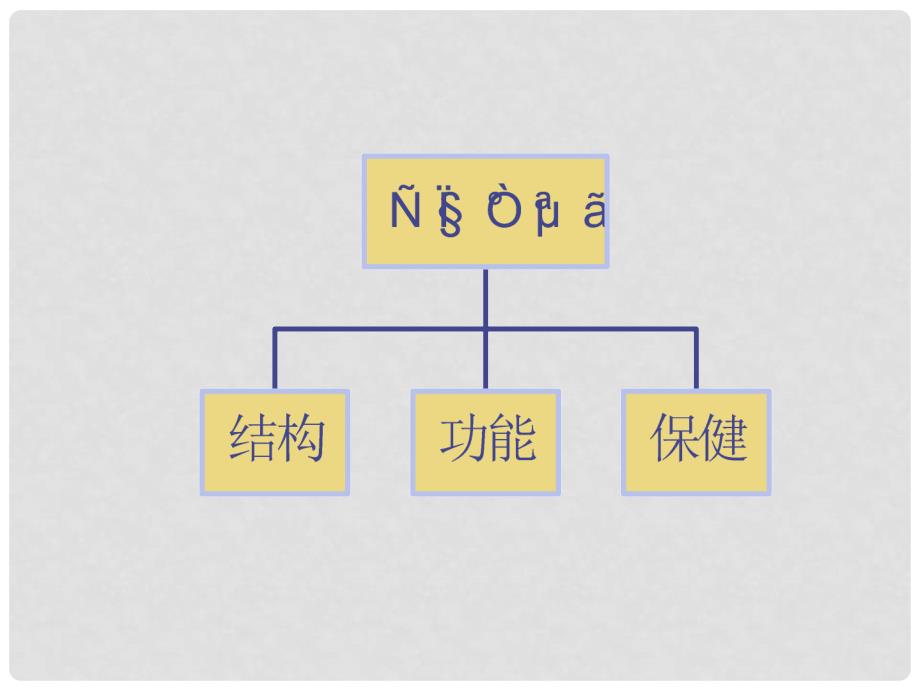 辽宁省鞍山市千山区甘泉初级中学七年级生物下册《皮肤》课件 北师大版_第2页