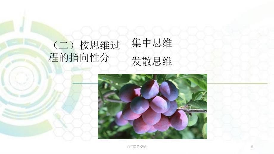 大学心理学思维课件_第5页