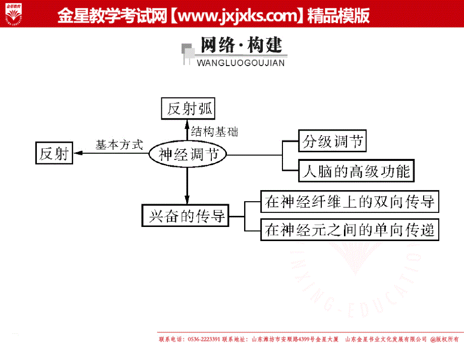 21通过神经系统的调节课件新人教版必修3PPT课件_第1页