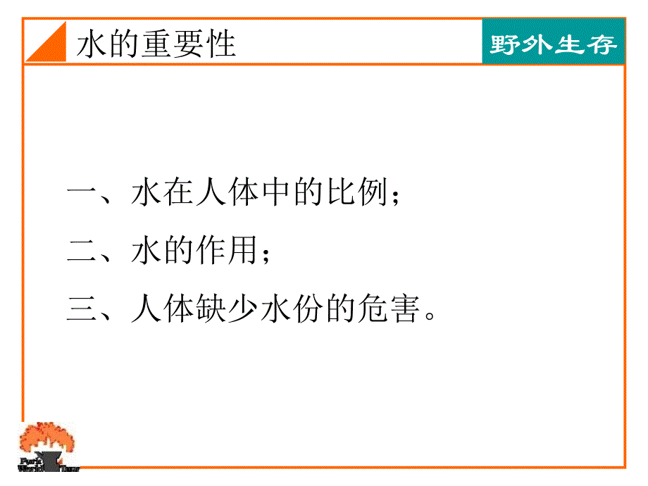 野外寻找水源课件_第2页