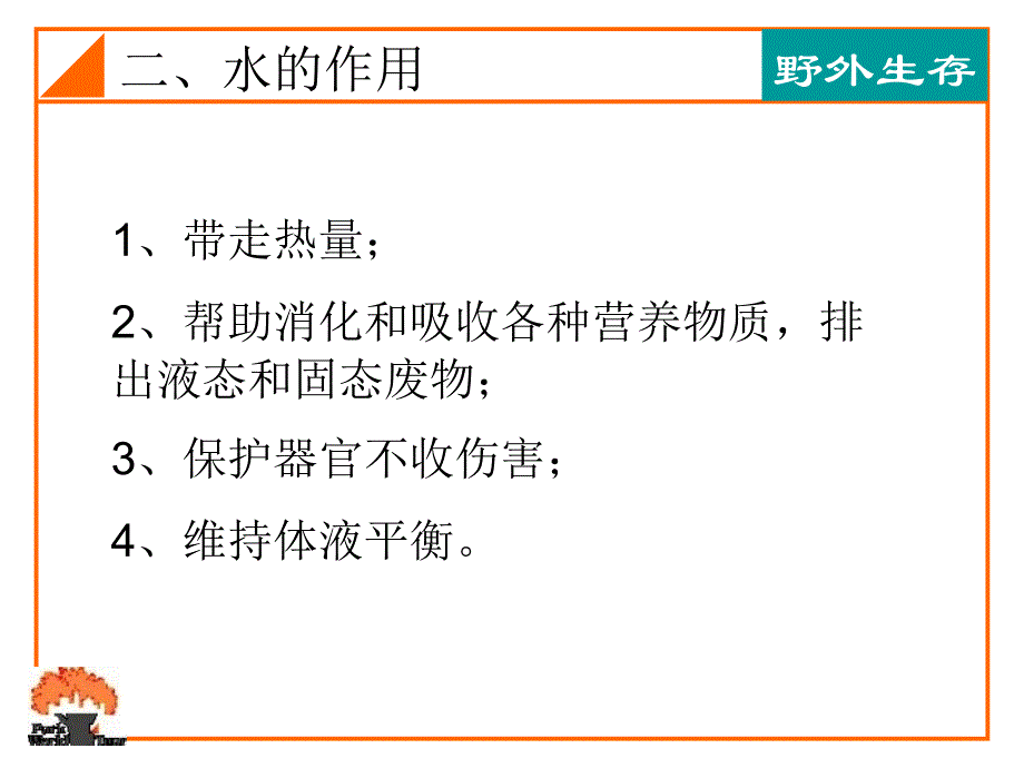 野外寻找水源课件_第4页