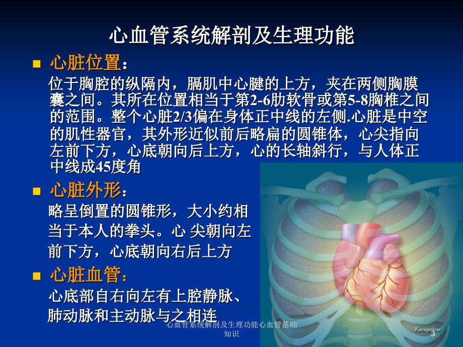 心血管系统解剖及生理功能心血管基础知识课件_第3页