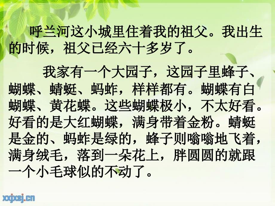 我和祖父的园子第一课时_第3页