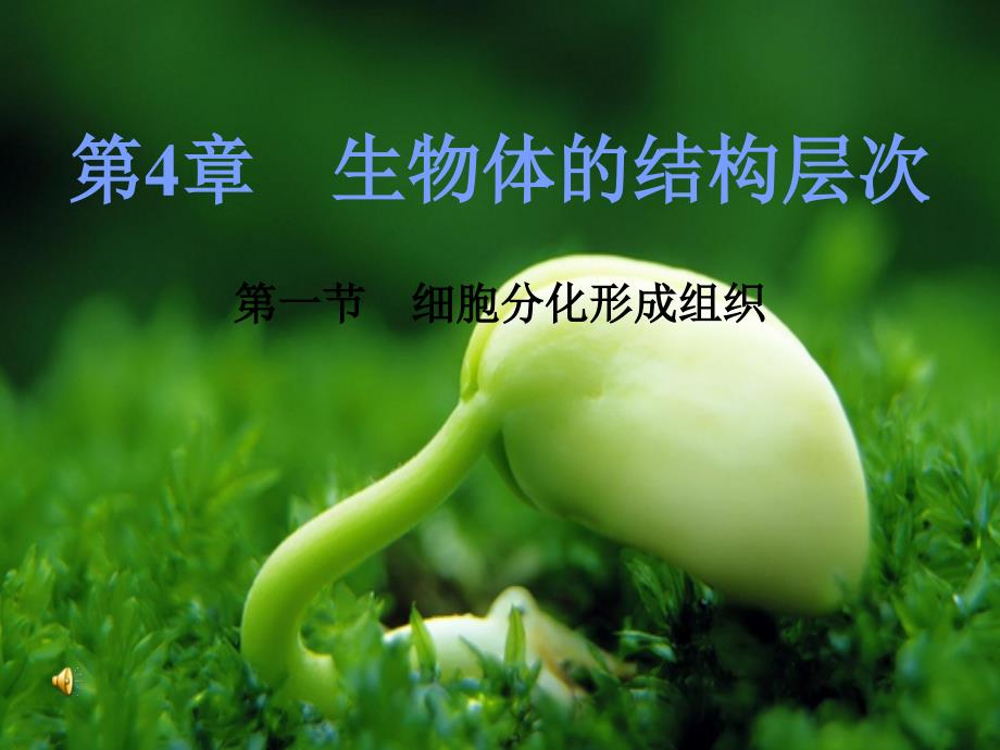 初一生物《细胞分化形成组织》课件_第1页