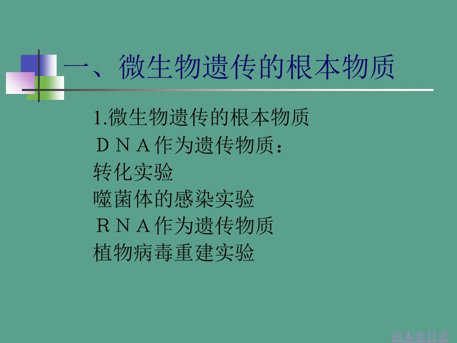 微生物的遗传变异与菌种选育ppt课件_第4页