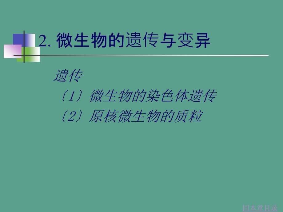 微生物的遗传变异与菌种选育ppt课件_第5页