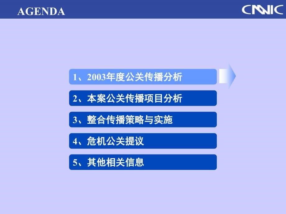 CNNIC2004公关推广方案_第5页