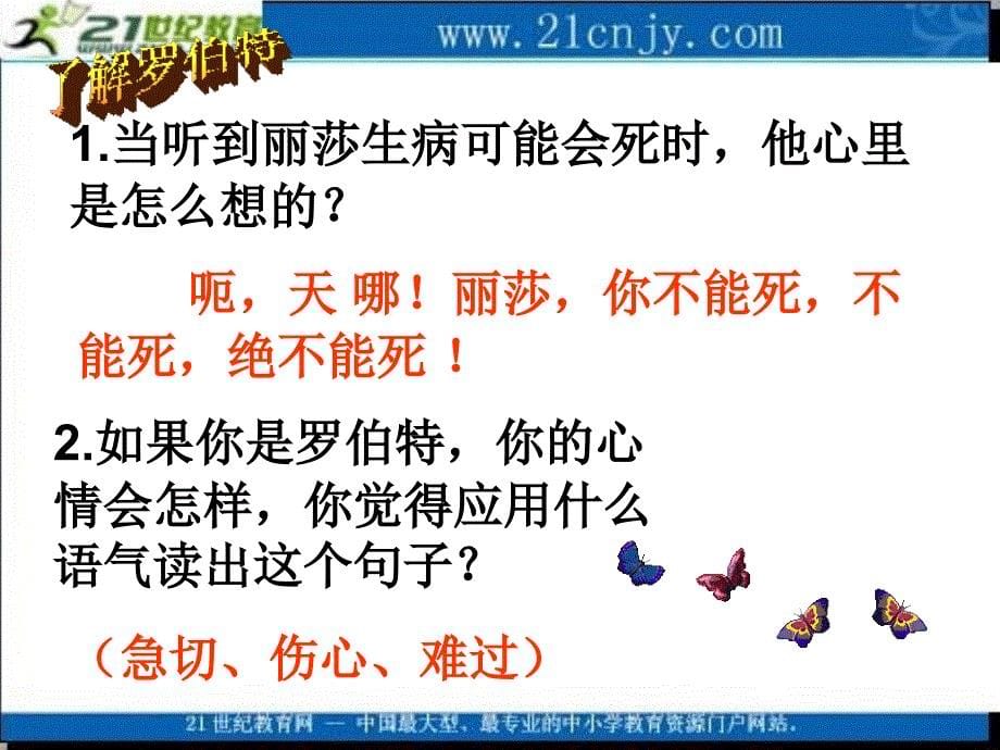 北师大版六年级语文上册课件黑孩子罗伯特2_第5页