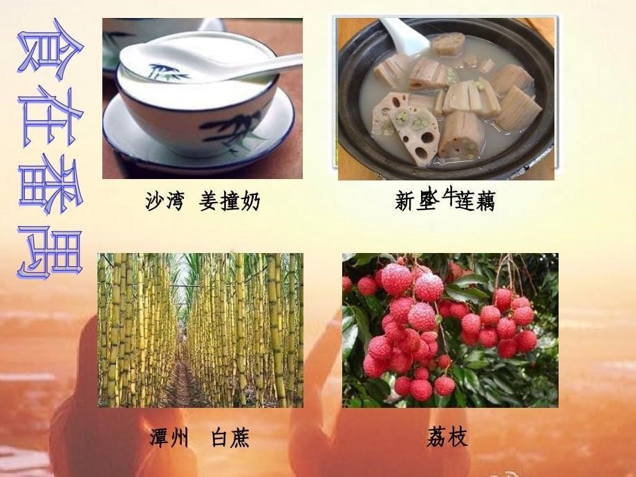 我的家乡-番禺.ppt_第5页