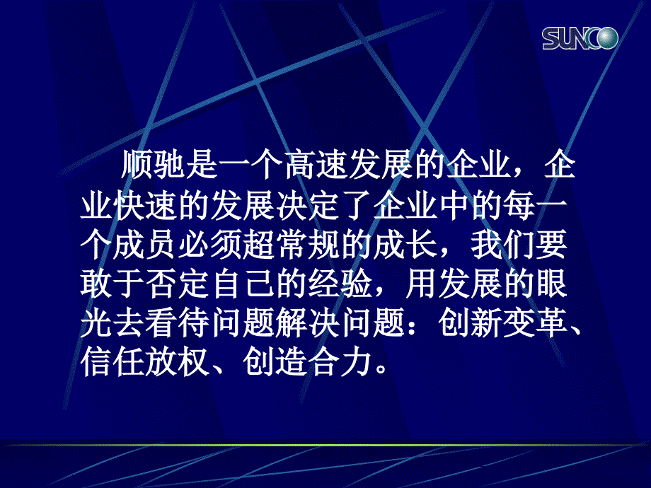 顺驰中国浅谈团队建设56页_第4页