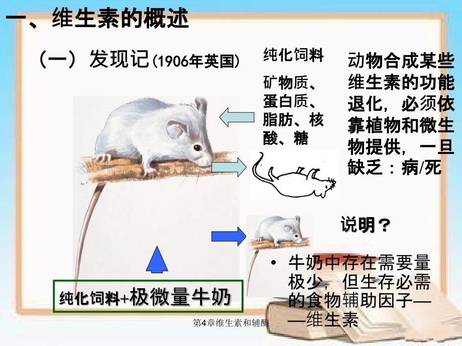 第4章维生素和辅酶_第2页