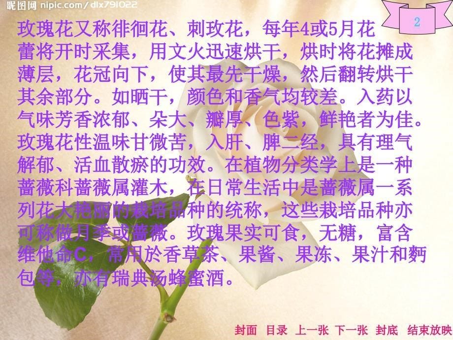 走进花的世界于祥惠课件_第5页