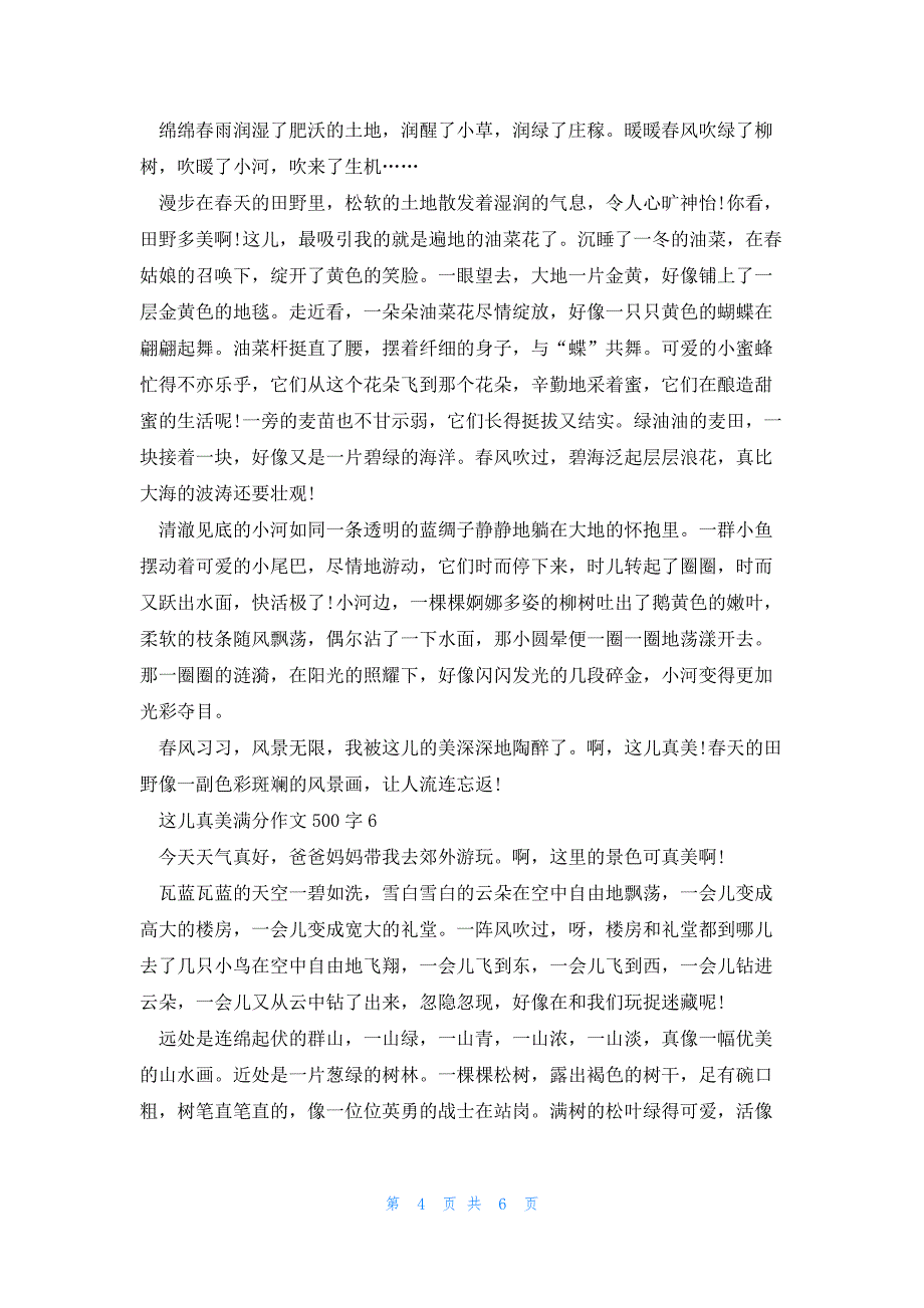 这儿真美满分作文500字7篇_第4页