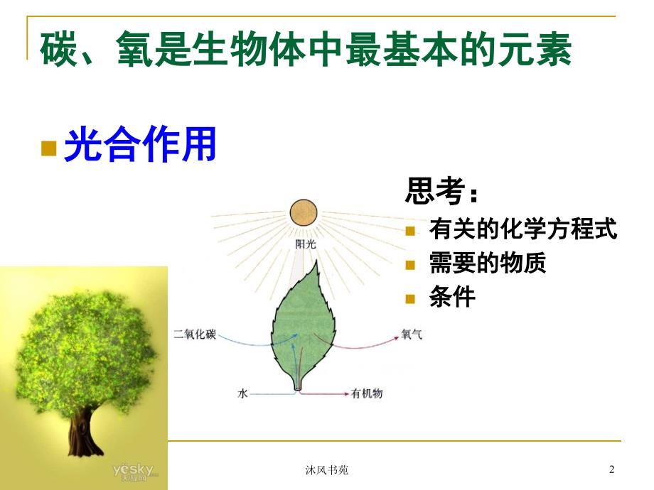 自然界中的碳循环和氧循环[课件优选]_第2页